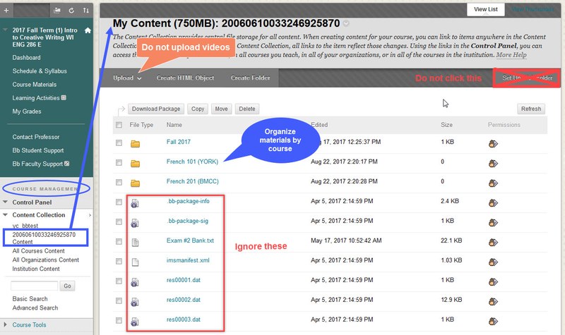 Access your content from your course management section: Content Collection, your teaching drive. You can create folders and upload course files here that will be posted in your courses.