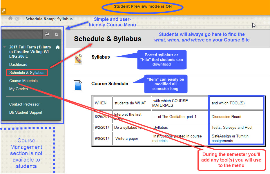 A student view of the course.