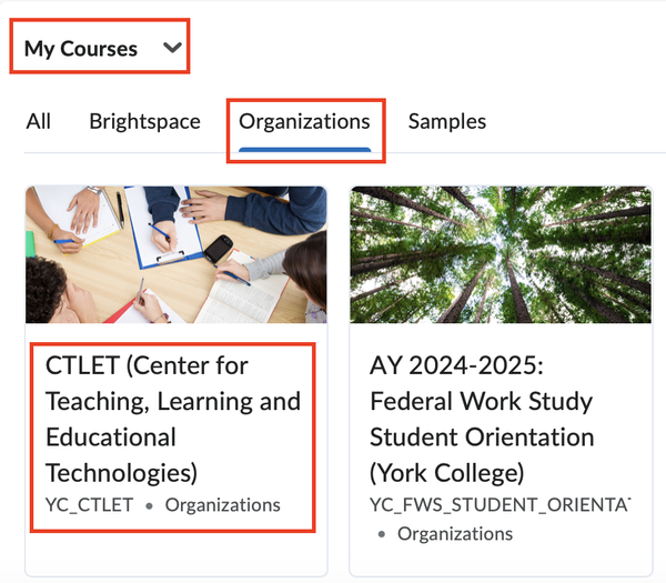 CTLET_Brightspace_org.png