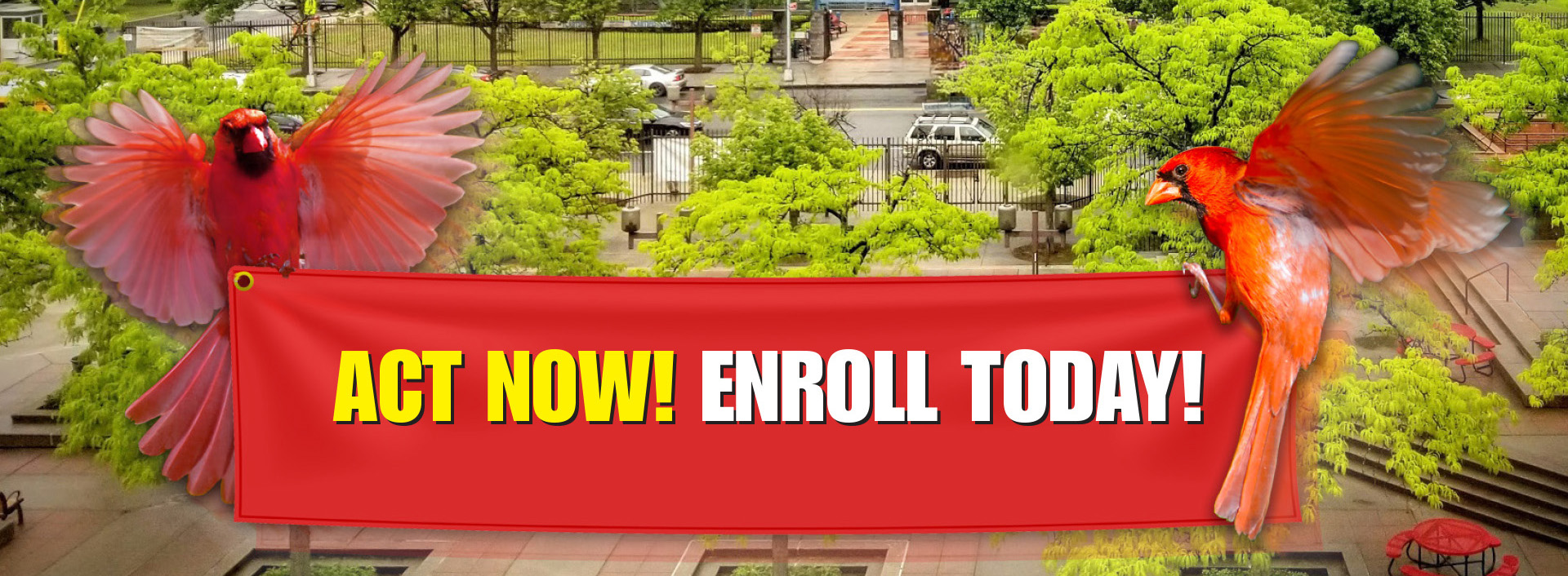 Act Now! Enroll Today