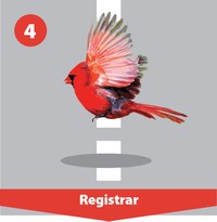 Roadmap Step 4, Registrar