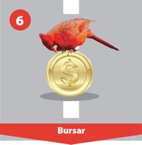 Roadmap Step 6, Bursar