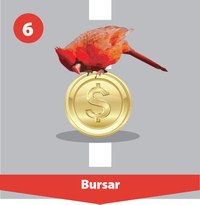 Roadmap Step 6, Bursar