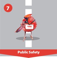 Roadmap Step 7, Public Safety