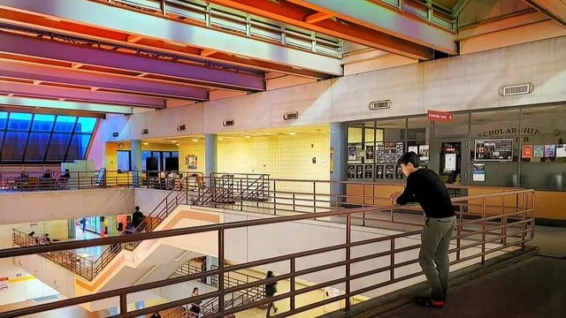 York Campus neon stare