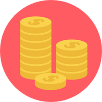 Money Icon