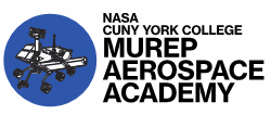 Logo for Murep program at york