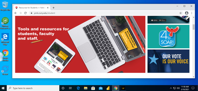 Screenshot of a MS Windows VDI