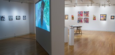 Gallery Installation view #1: looking SE, multiple works