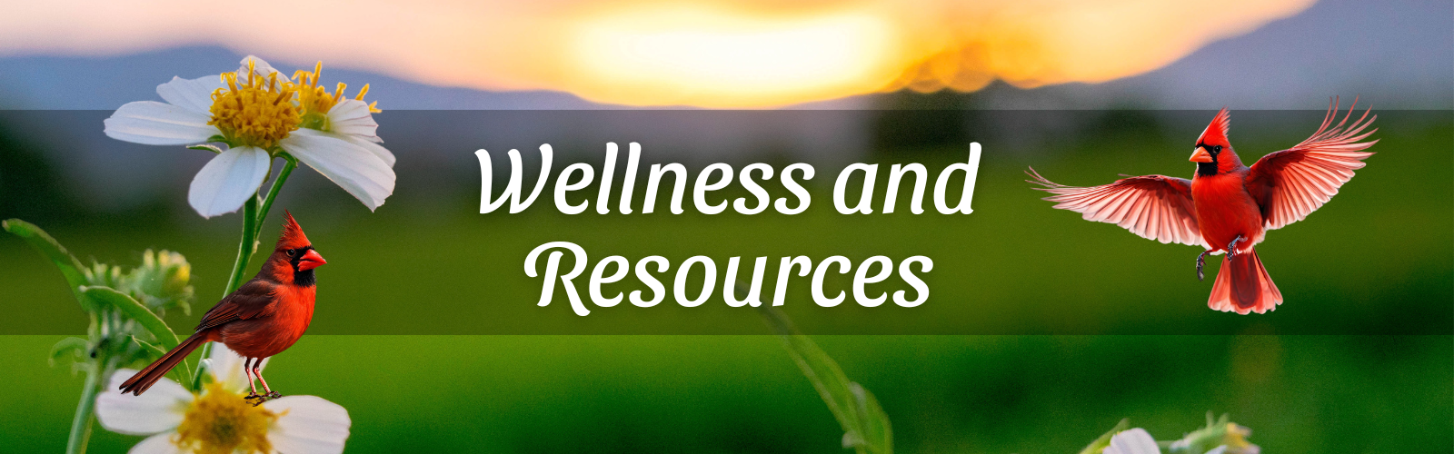 Wellness and Resources Page Banner.png